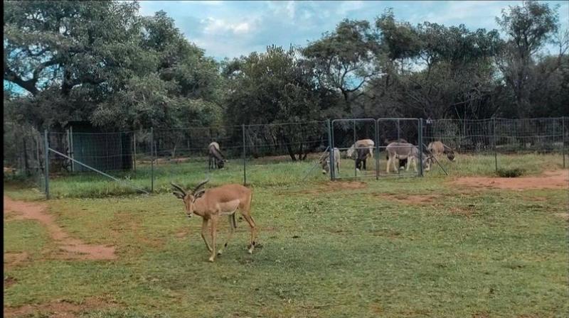 0 Bedroom Property for Sale in Broederstroom North West